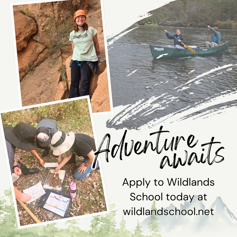 Featured Story Image