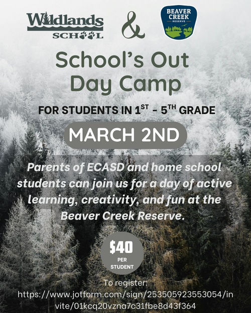 Featured Story Image